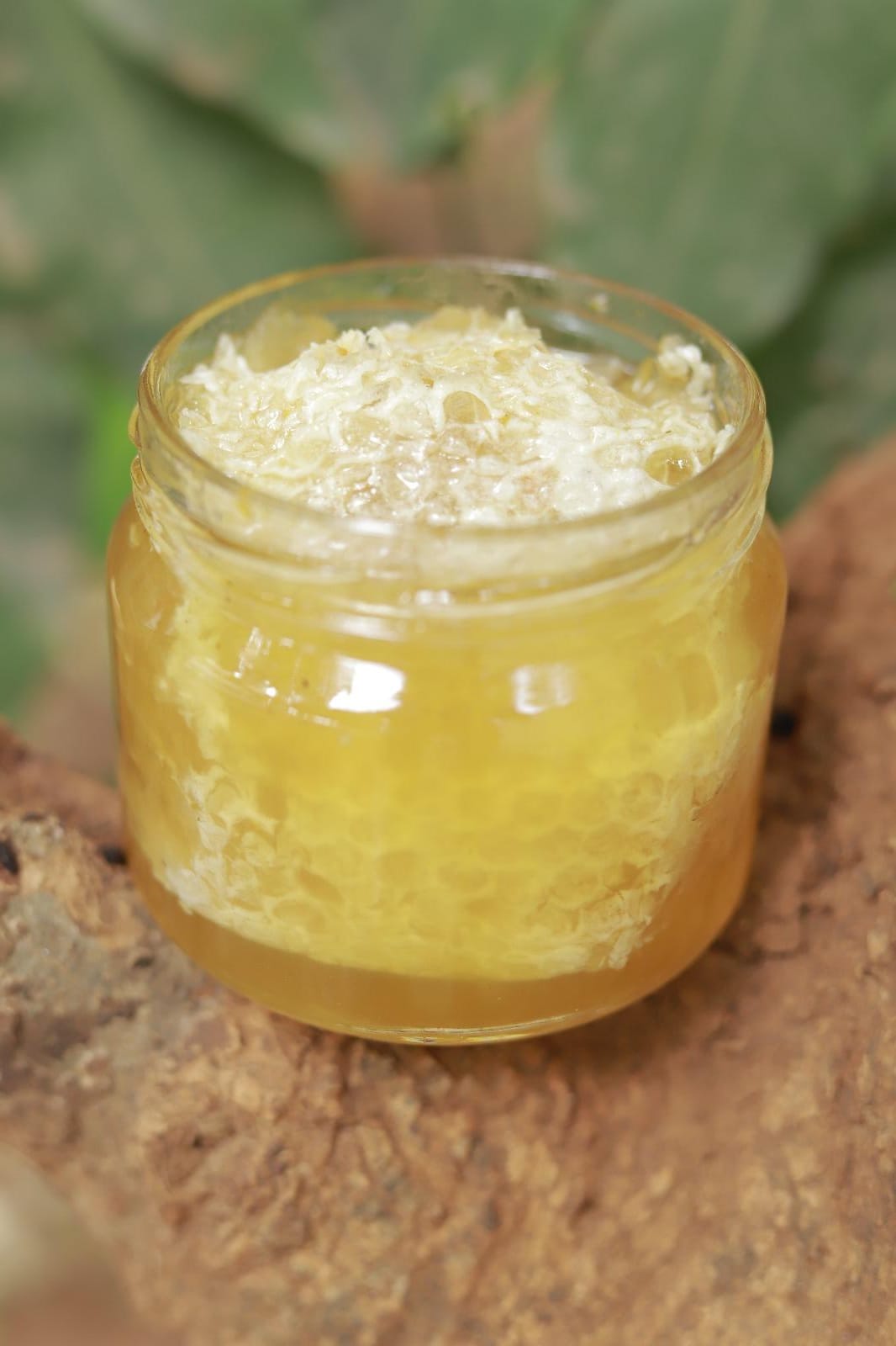Honeybees